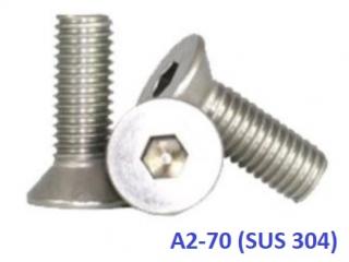 ISO 10642 / DIN 7991 [A2-70]