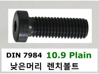 DIN 7984 10.9 Plain