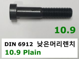 DIN 6912 10.9 PLAIN